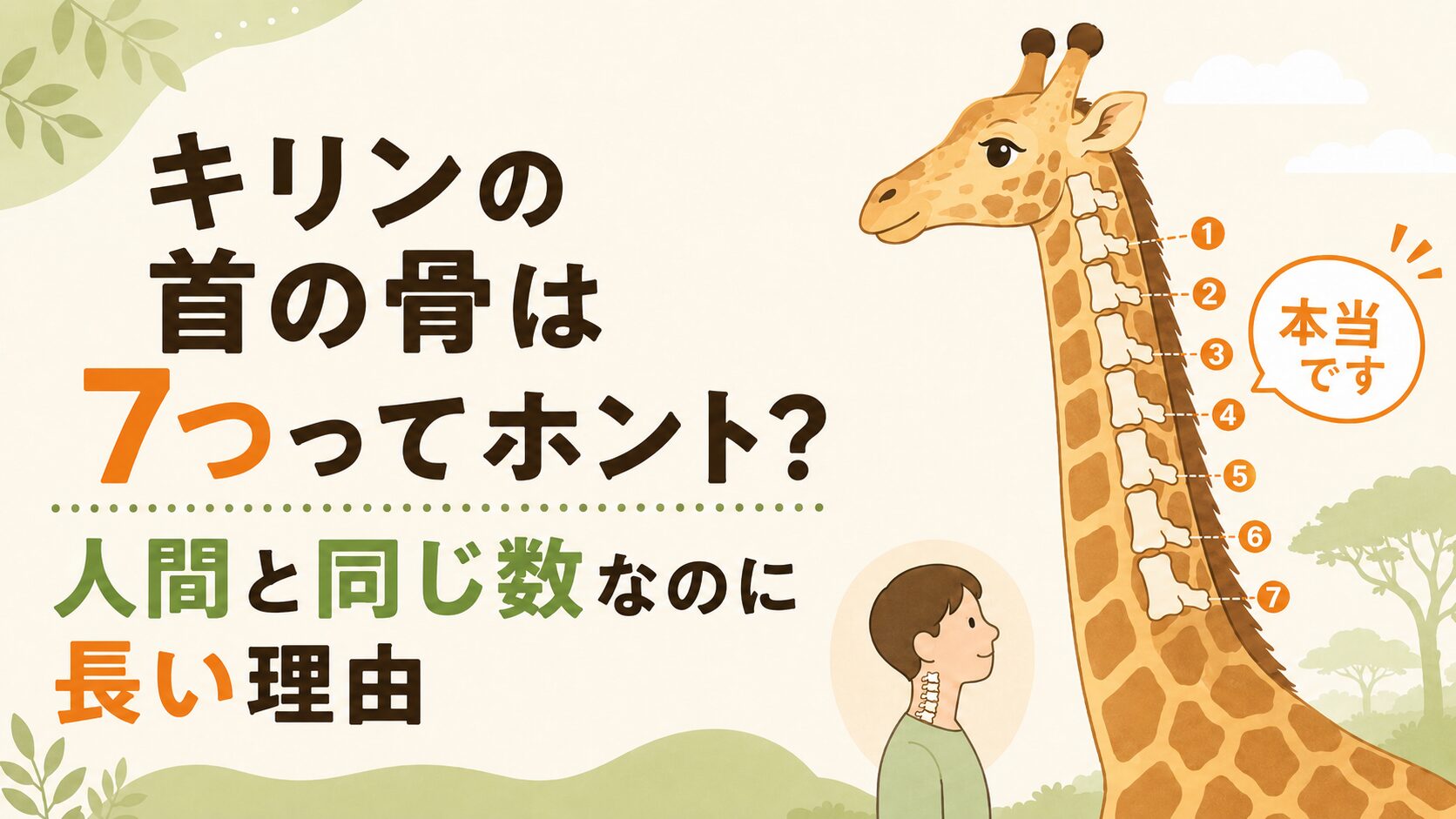 キリンの長い首と首の骨が7つであることを説明するイメージ